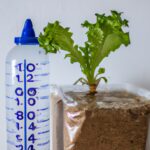 ¿Cuántos litros de agua necesita una lechuga hidropónica para crecer?