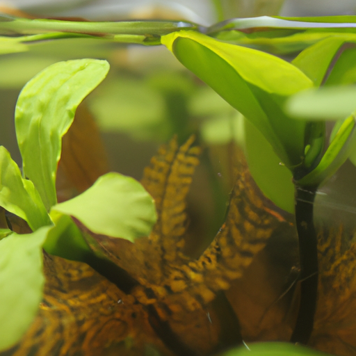 Plantas que pueden crecer en agua: ¡Descubre cuáles!.