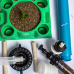 Todo lo que necesitas saber para crear un cultivo hidropónico casero