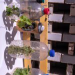 Cómo construir un huerto vertical con botellas de plástico y sistema de riego en casa
