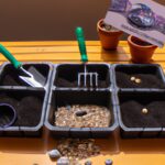 ¡Prepara tus semillas! Qué plantar en tu huerto urbano durante marzo