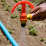 Descubre cómo optimizar tus cultivos con un eficiente sistema de riego para huertos