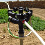 Descubre los mejores sistemas de riego para huertos pequeños