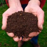 ¿Qué tipo de suelo debes evitar para sembrar tu huerto?