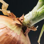 Plantar Cebolla: Una Experiencia Gratificante Y Saludable