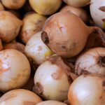 Plantar Cebolla: Una Opción Económica Y Saludable
