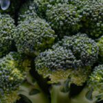 Cosecha Y Conservación De Brócoli En Su Punto óptimo De Madurez