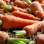 Zanahorias En Interiores: Condiciones Para Una Germinación Exitosa