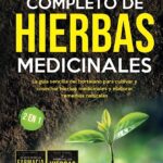Guía completa para cosechar plantas medicinales en tu huerto familiar