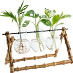 5 Formas Creativas de Usar Raíces de Plantas Hidropónicas en la Cocina