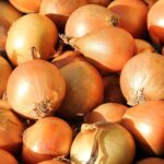 Consejos para conservar las cebollas frescas y prolongar su vida útil
