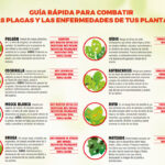 Consejos para controlar plagas en tus plantas de forma efectiva