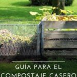 Guía para hacer compost en casa: métodos eficientes y sencillos